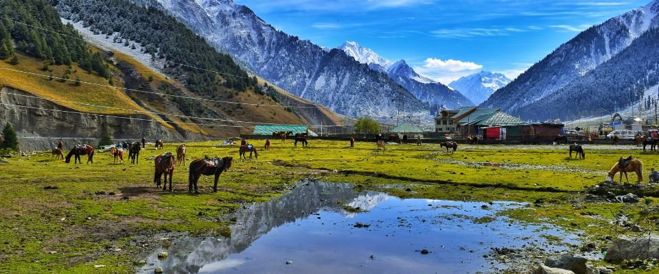 Kashmir, Beautifully Unhurried — Kashmir scenery